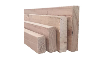 Blackbutt